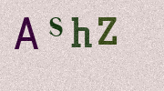Visual Confirmation Security Code