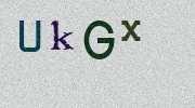 Visual Confirmation Security Code