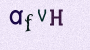 Visual Confirmation Security Code