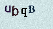 Visual Confirmation Security Code
