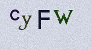 Visual Confirmation Security Code