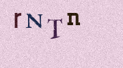 Visual Confirmation Security Code