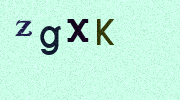 Visual Confirmation Security Code