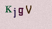Visual Confirmation Security Code