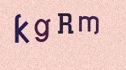 Visual Confirmation Security Code