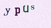 Visual Confirmation Security Code