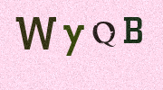 Visual Confirmation Security Code