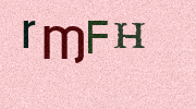 Visual Confirmation Security Code