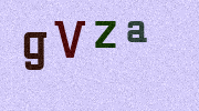 Visual Confirmation Security Code