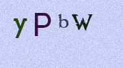 Visual Confirmation Security Code