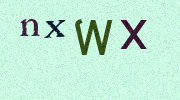 Visual Confirmation Security Code