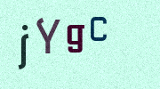 Visual Confirmation Security Code