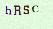 Visual Confirmation Security Code