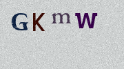 Visual Confirmation Security Code