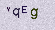 Visual Confirmation Security Code