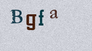 Visual Confirmation Security Code