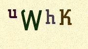 Visual Confirmation Security Code