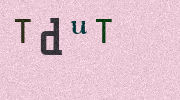 Visual Confirmation Security Code