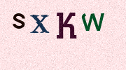 Visual Confirmation Security Code