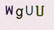 Visual Confirmation Security Code