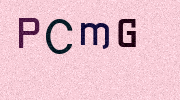 Visual Confirmation Security Code