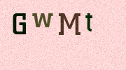Visual Confirmation Security Code