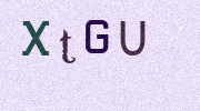 Visual Confirmation Security Code