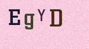 Visual Confirmation Security Code