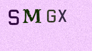 Visual Confirmation Security Code