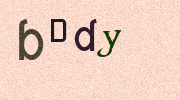 Visual Confirmation Security Code