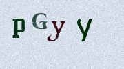 Visual Confirmation Security Code