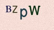 Visual Confirmation Security Code