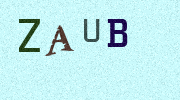 Visual Confirmation Security Code
