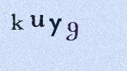 Visual Confirmation Security Code