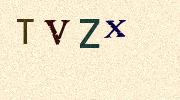 Visual Confirmation Security Code