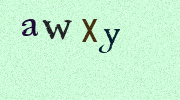 Visual Confirmation Security Code