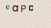Visual Confirmation Security Code