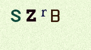 Visual Confirmation Security Code