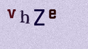 Visual Confirmation Security Code