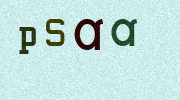Visual Confirmation Security Code
