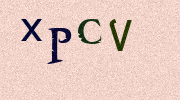 Visual Confirmation Security Code