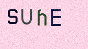 Visual Confirmation Security Code