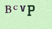 Visual Confirmation Security Code