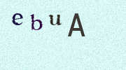 Visual Confirmation Security Code