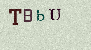 Visual Confirmation Security Code