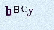 Visual Confirmation Security Code