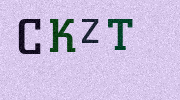 Visual Confirmation Security Code