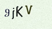 Visual Confirmation Security Code