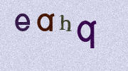 Visual Confirmation Security Code