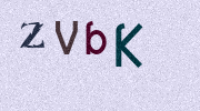 Visual Confirmation Security Code